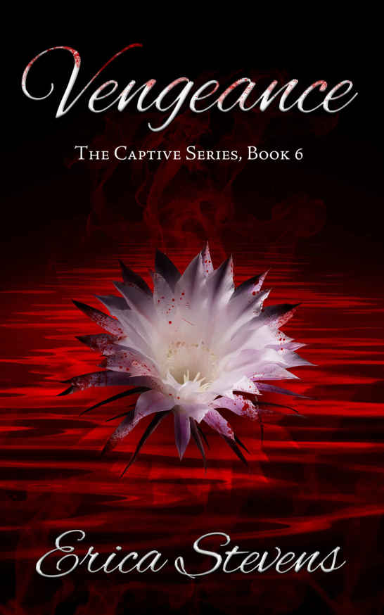 Vengeance (The Captive Series, Book 6)