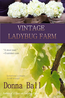Vintage Ladybug Farm (2012)