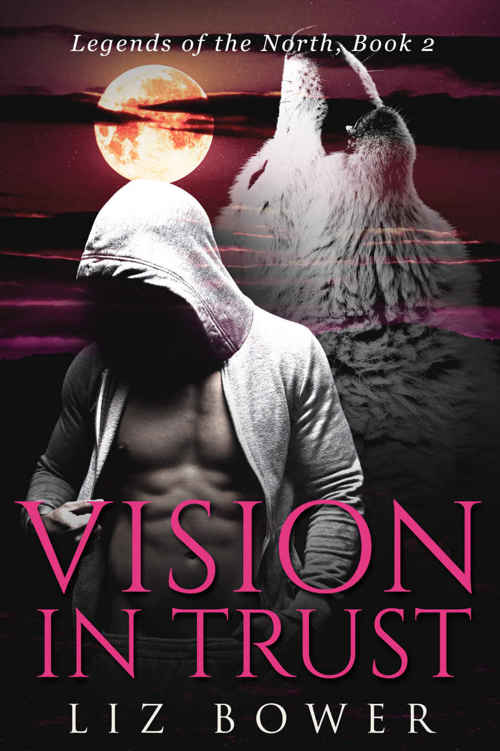 Vision in Trust (Legends of the North #2) by Liz Bower