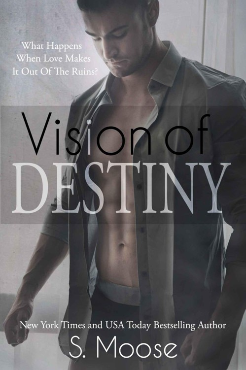 Vision of Destiny (Infinity Book 2) by S. Moose