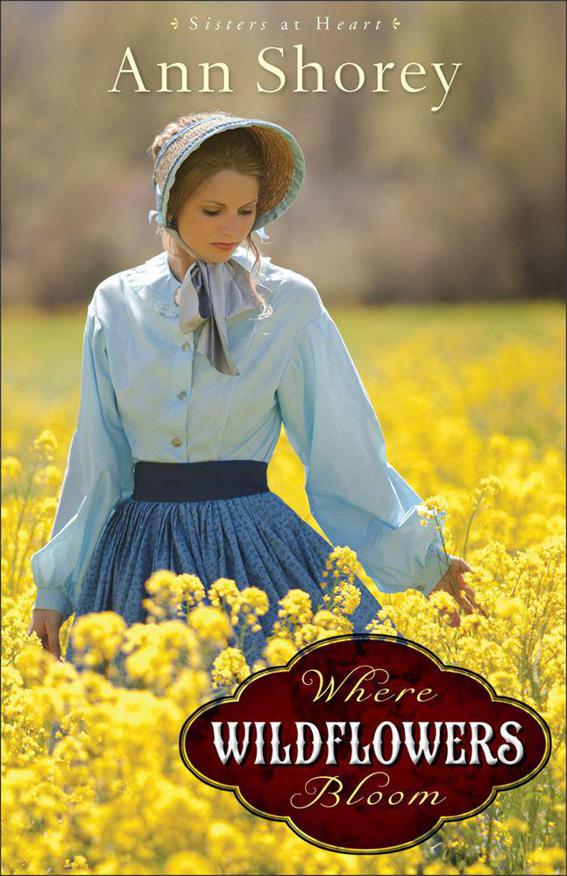 Where Wildflowers Bloom: A Novel by Ann Shorey