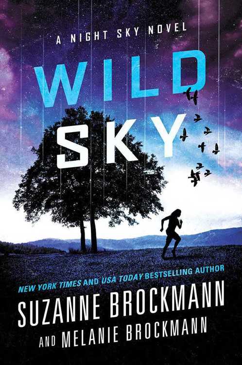 Wild Sky 2 by Suzanne Brockmann
