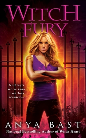 Witch Fury (2009) by Anya Bast