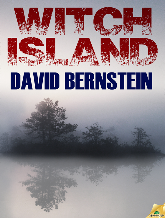 Witch Island (2014) by David   Bernstein