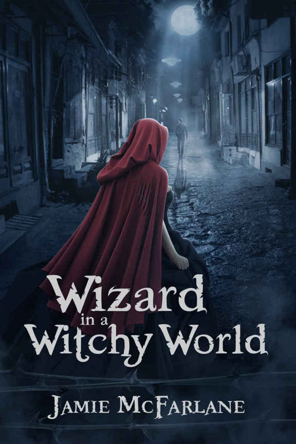 Wizard in a Witchy World by Jamie McFarlane