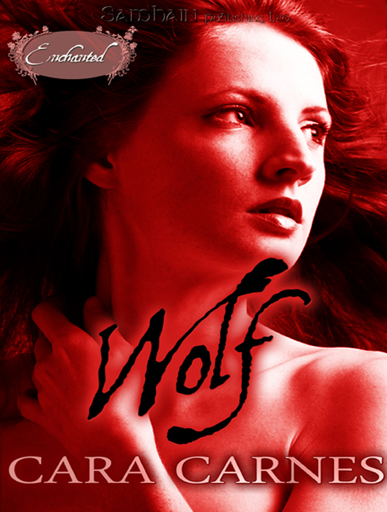 Wolf (2010) by Cara Carnes