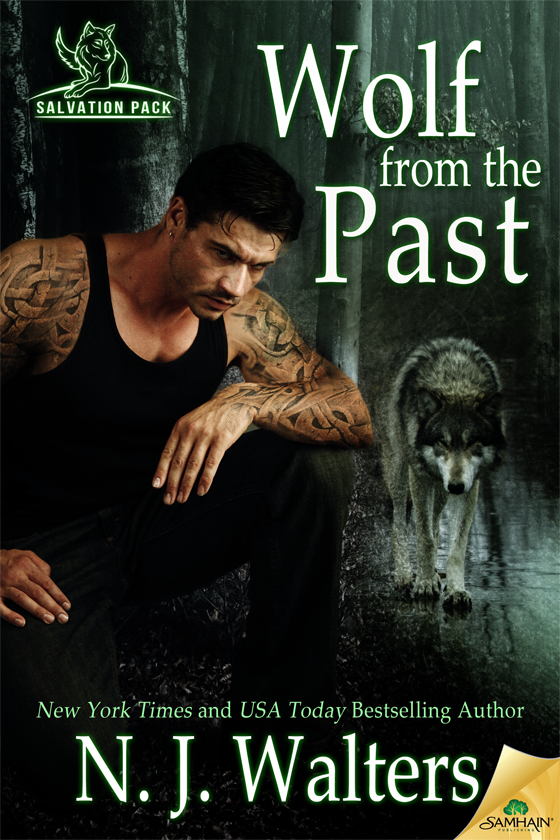 Wolf from the Past: Salvation Pack, Book 4 (2015) by N.J. Walters