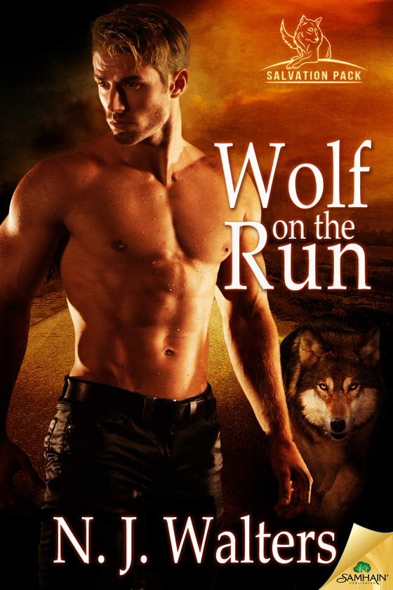 Wolf on the Run: Salvation Pack, Book 3 (2014) by N.J. Walters